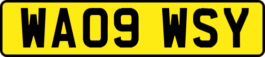 WA09WSY