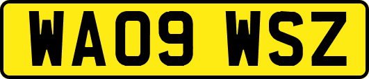 WA09WSZ
