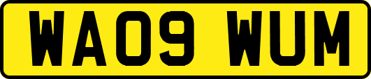 WA09WUM