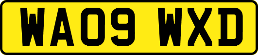 WA09WXD