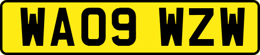 WA09WZW