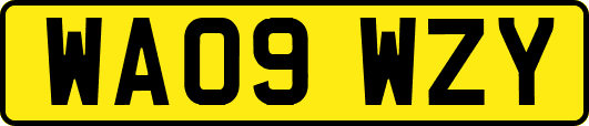 WA09WZY