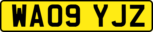 WA09YJZ