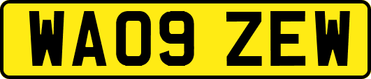 WA09ZEW