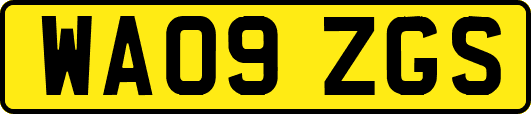 WA09ZGS