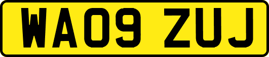 WA09ZUJ