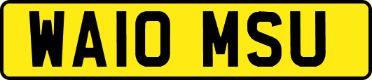 WA10MSU