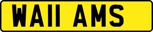 WA11AMS