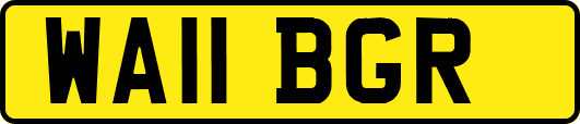 WA11BGR