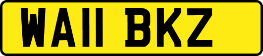 WA11BKZ