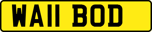 WA11BOD