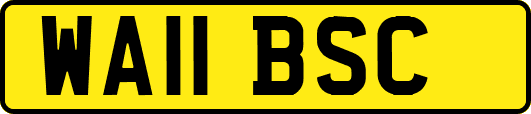 WA11BSC