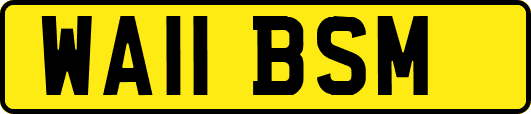 WA11BSM