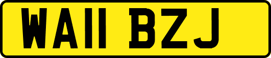 WA11BZJ