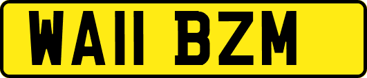 WA11BZM