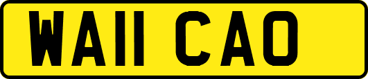 WA11CAO