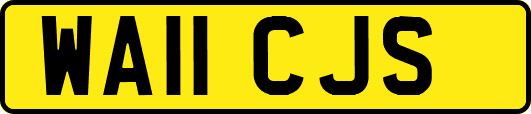 WA11CJS