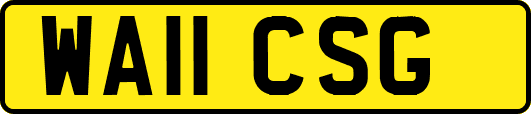 WA11CSG