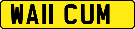 WA11CUM