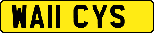 WA11CYS