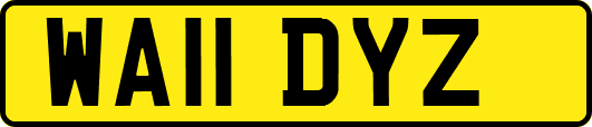 WA11DYZ