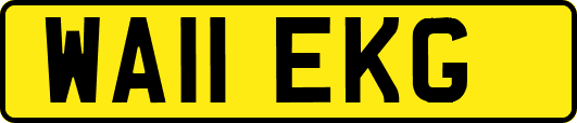 WA11EKG
