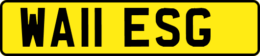 WA11ESG