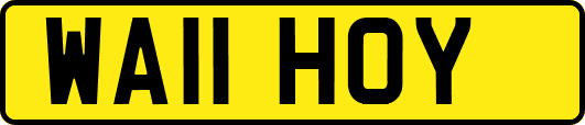 WA11HOY