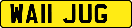 WA11JUG