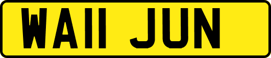 WA11JUN