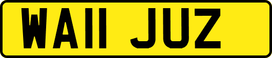 WA11JUZ