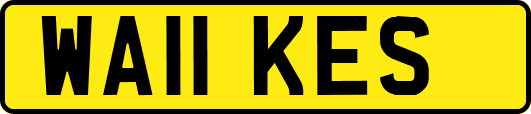 WA11KES