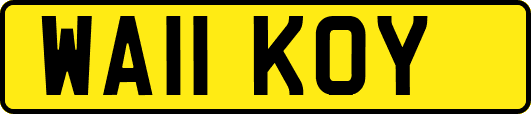 WA11KOY