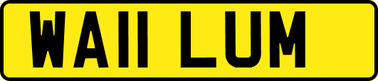 WA11LUM