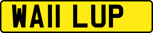 WA11LUP