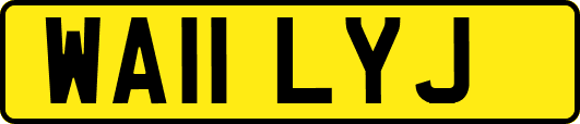 WA11LYJ
