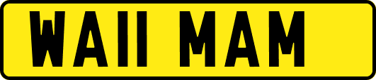 WA11MAM