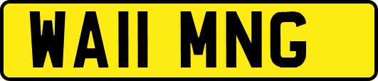 WA11MNG
