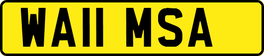 WA11MSA