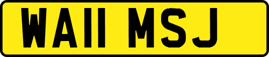 WA11MSJ