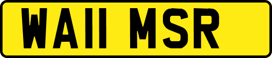 WA11MSR