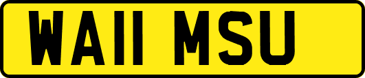 WA11MSU