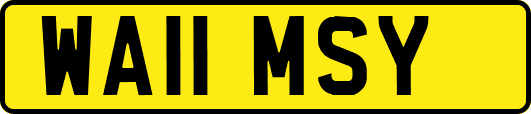 WA11MSY
