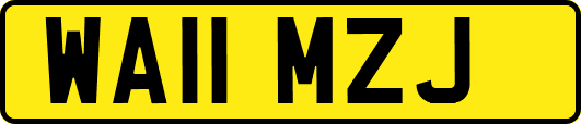 WA11MZJ