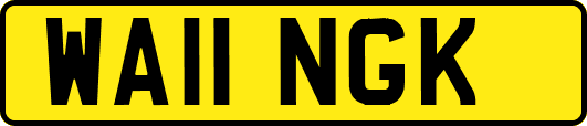 WA11NGK