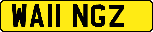 WA11NGZ