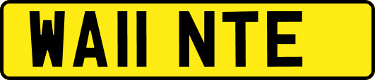 WA11NTE