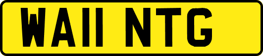 WA11NTG