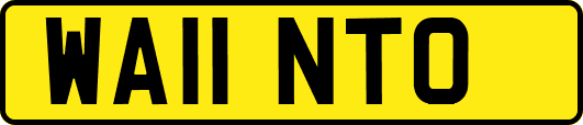 WA11NTO