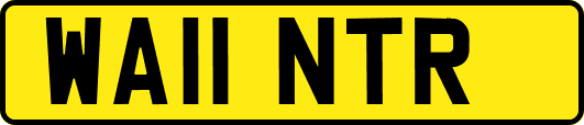 WA11NTR